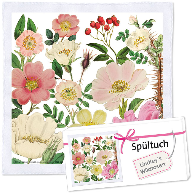 Spültuch Wildrose