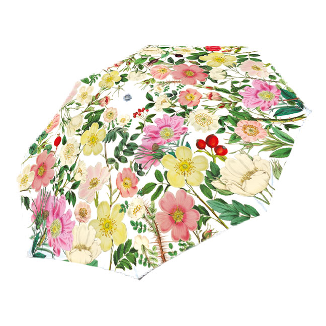 Taschenschirm Wildrose