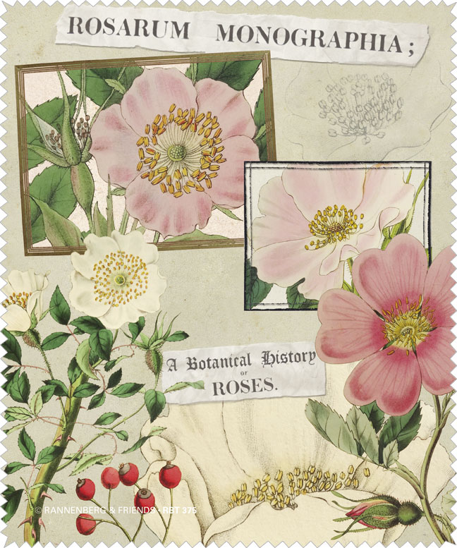 Microfasertuch - Rosarium Monographia