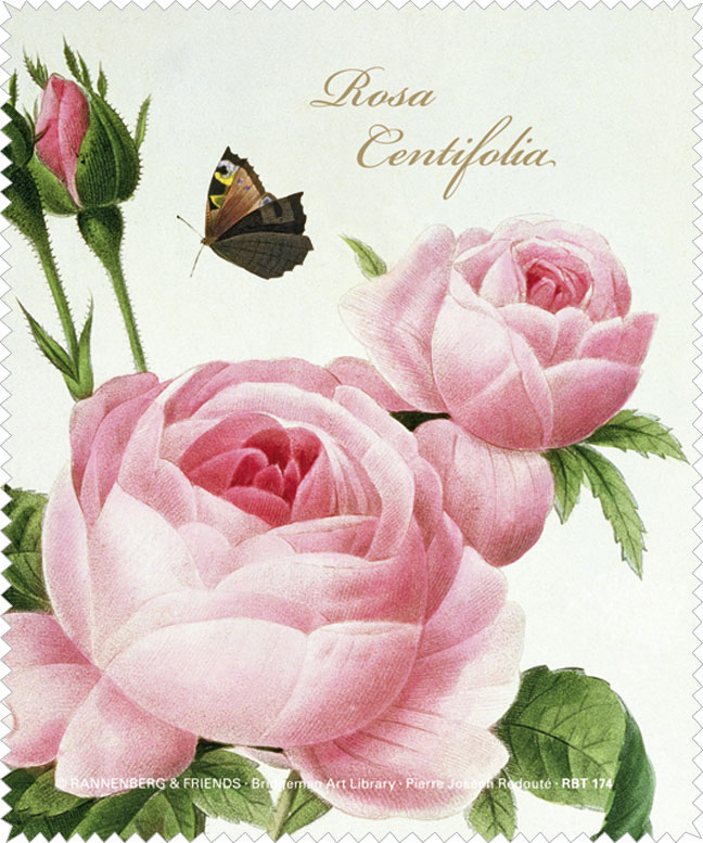 Microfasertuch - Rosa centifolia